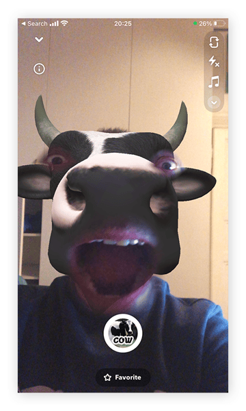 With a Snapchat lens, you can change yourself into a cow.